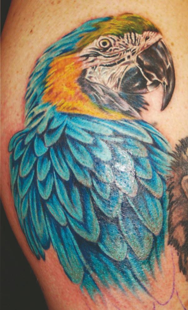 Bird Tattoo