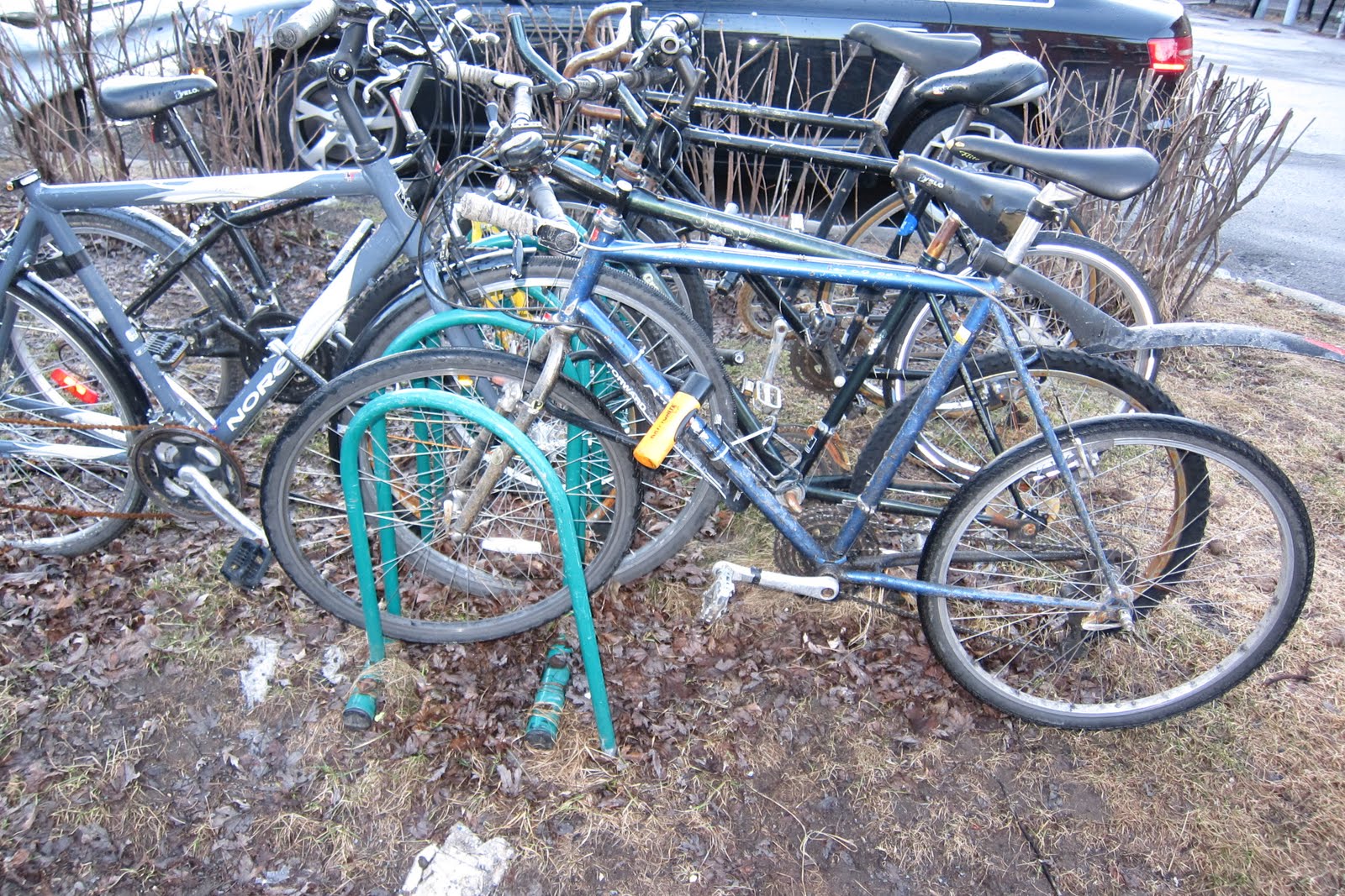 Bike Racks