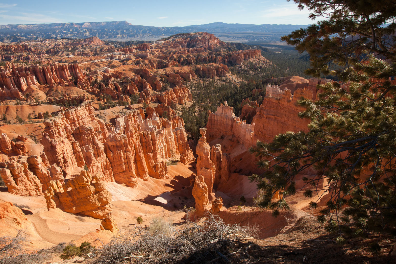 Bryce Canyon, Utah.