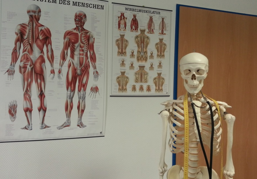 winter olympic puns skeleton bob