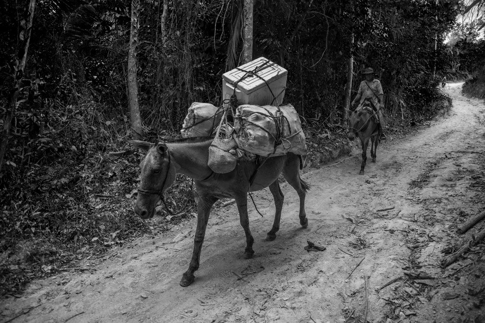 colombia-hiking-adventures