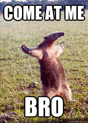 come at me anteater