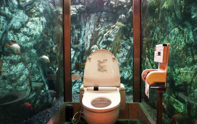 Crazy-Toilet-Aquarium-Fish