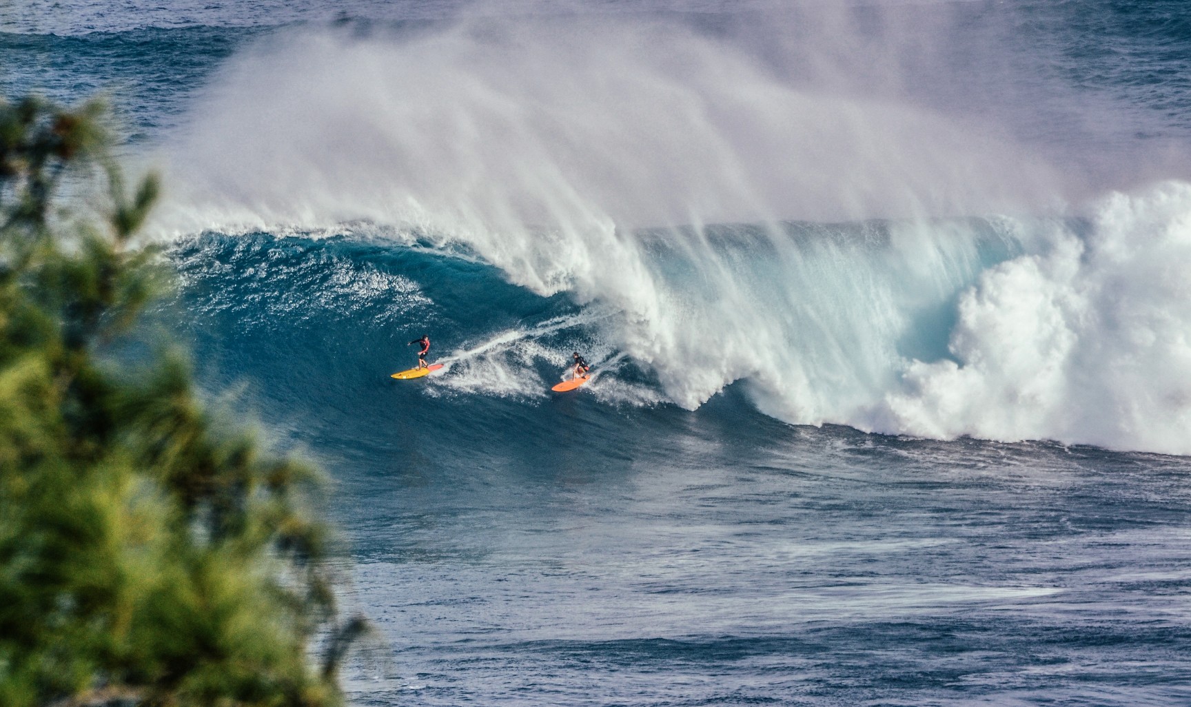 surfing puns 4