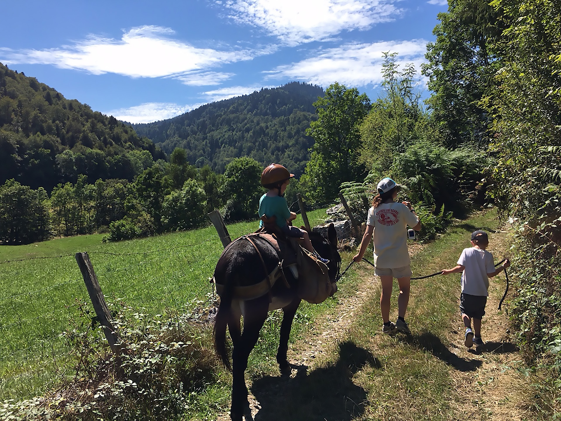 donkey-trekking-in-the-pyrenees