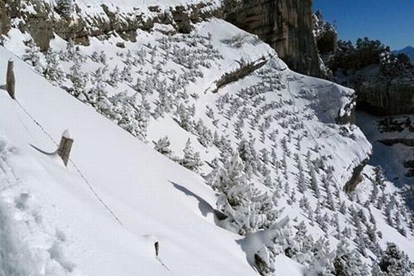 Face-in-the-Snow