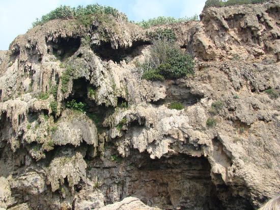 Photo: media-cdn.tripadvisor.com.