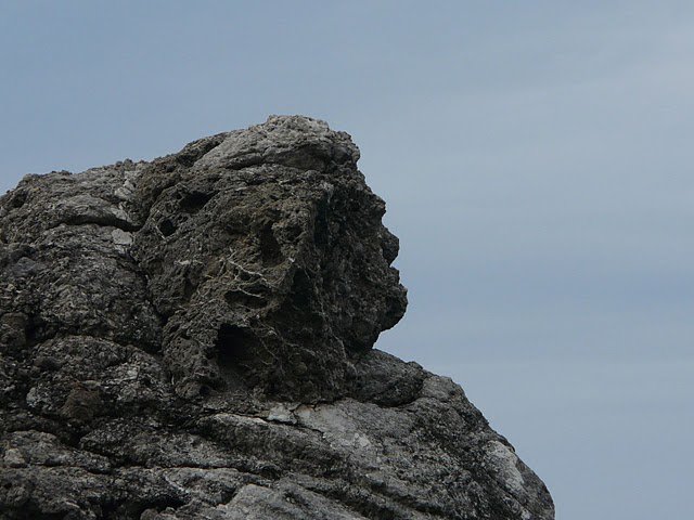 Photo: bluelyon.wordpress.com.