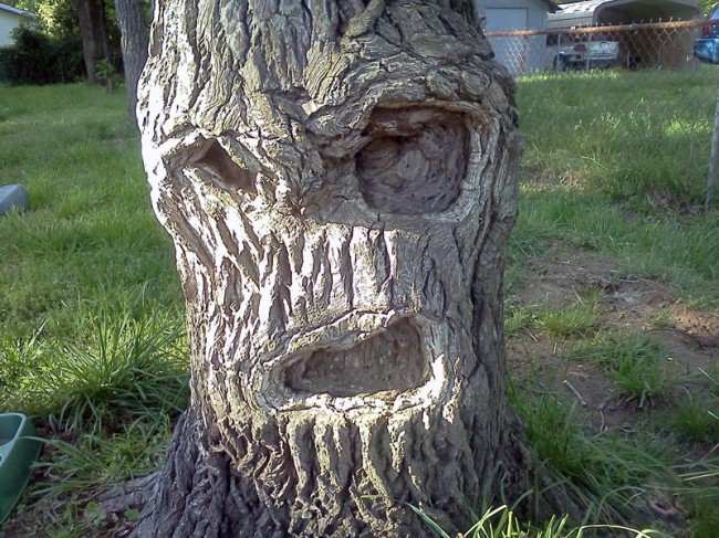 Photo: thingsthatlooklikepeople.com.