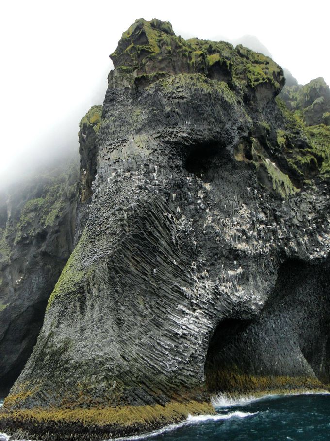 Photo: strangefeed.com.