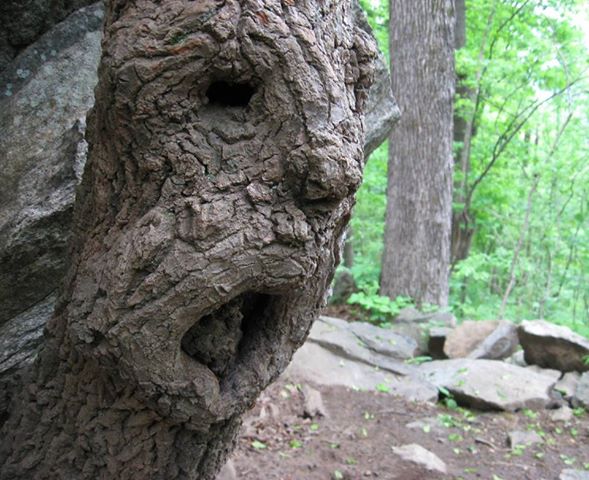 Photo: nc-culture.com.