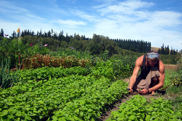 Farming Working Travel Jobs