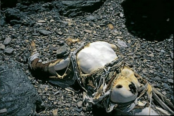 George Mallory Dead