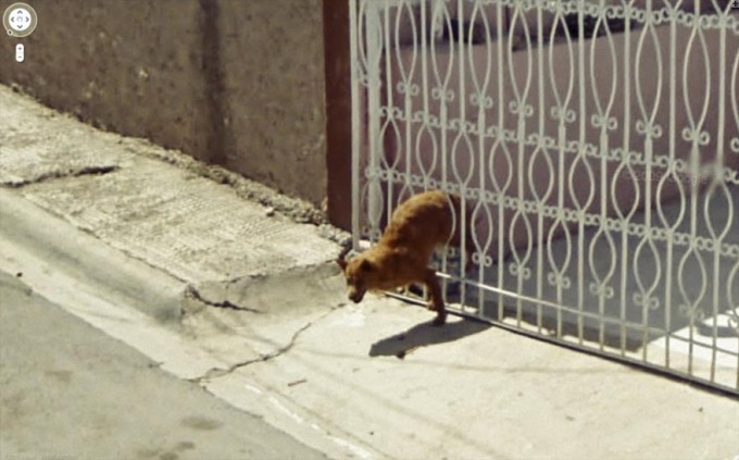 Photo: Google.