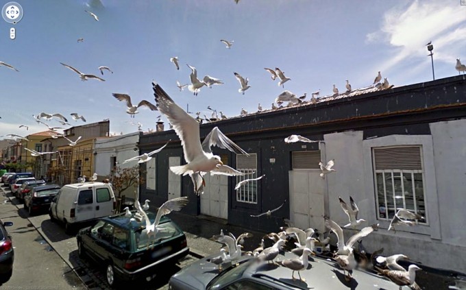 Photo: Google.
