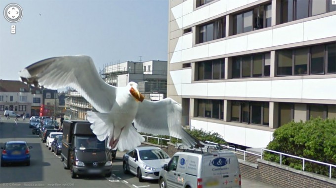 Photo: Google.
