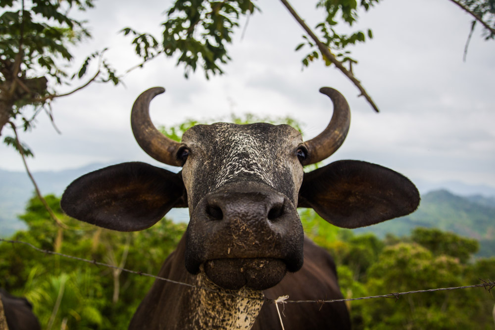 hiking-in-colombia-adventure