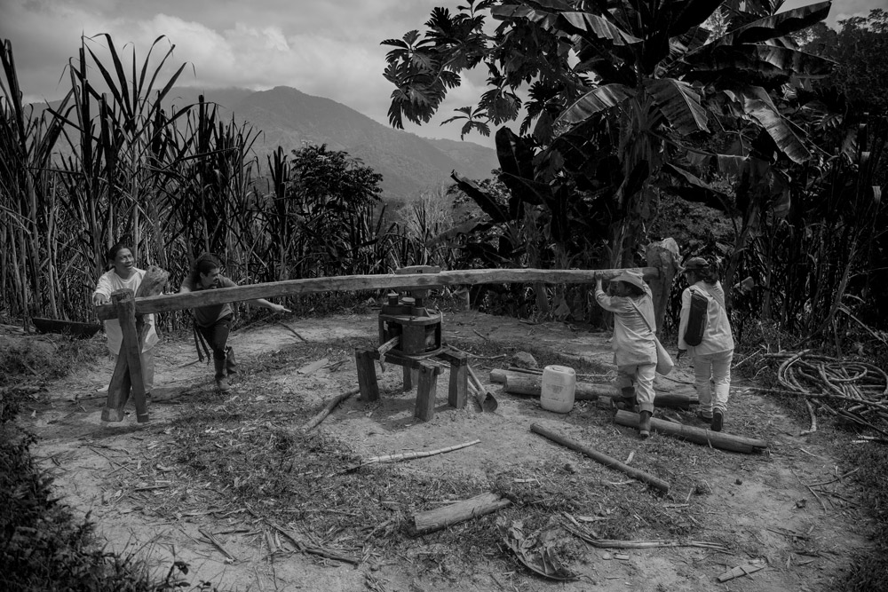 hiking-in-colombia-adventure