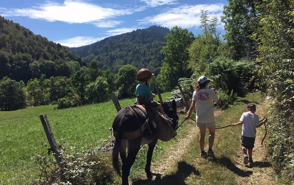donkey trekking in the pyrenees