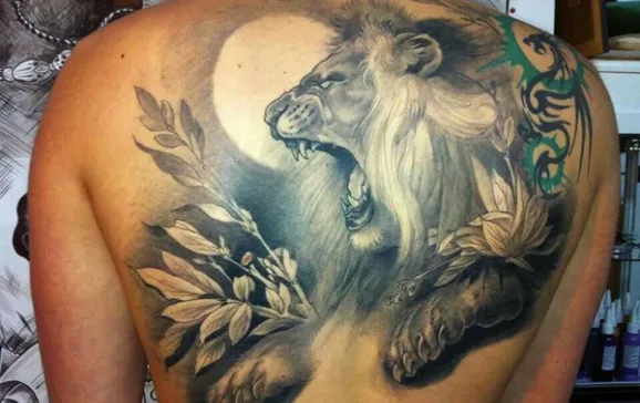 lion 30