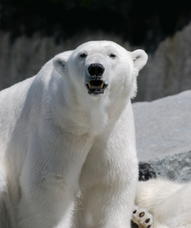 Photo: iStock