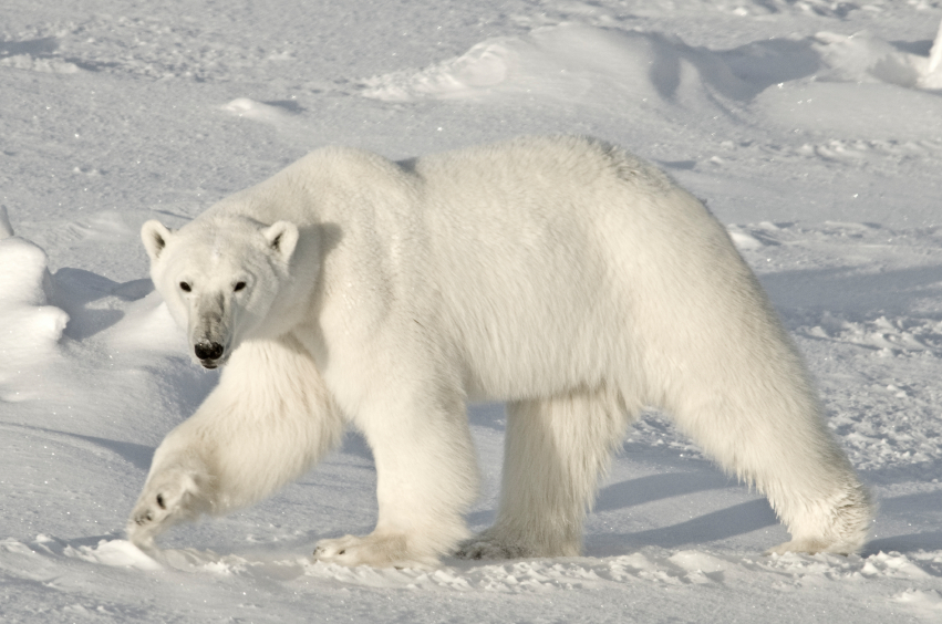 Photo: iStock