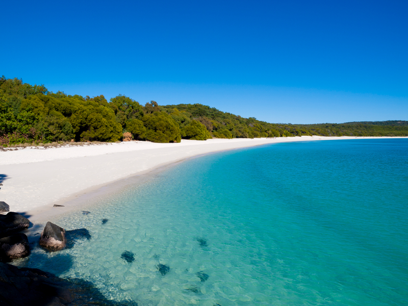 Best Beaches in Australia to Visit on a Gap Year: Whitehaven Beach