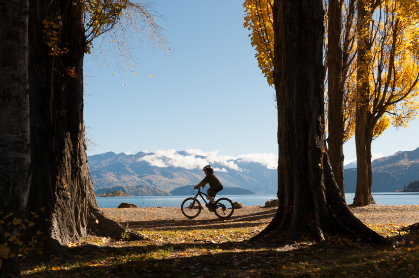 10 Best Things to Do on a Gap Year in New Zealand  cycle