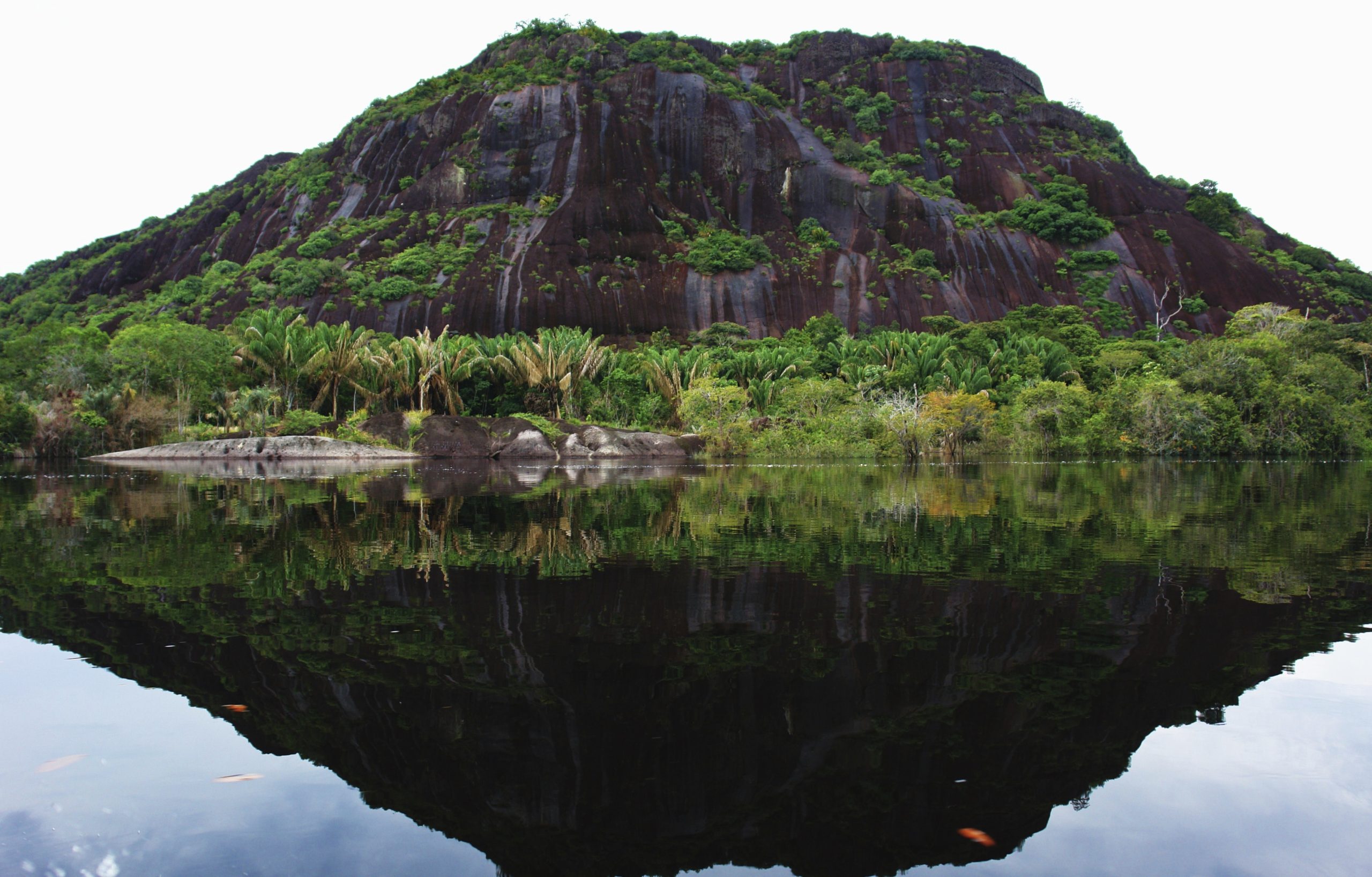 Orinoco River El Dorado