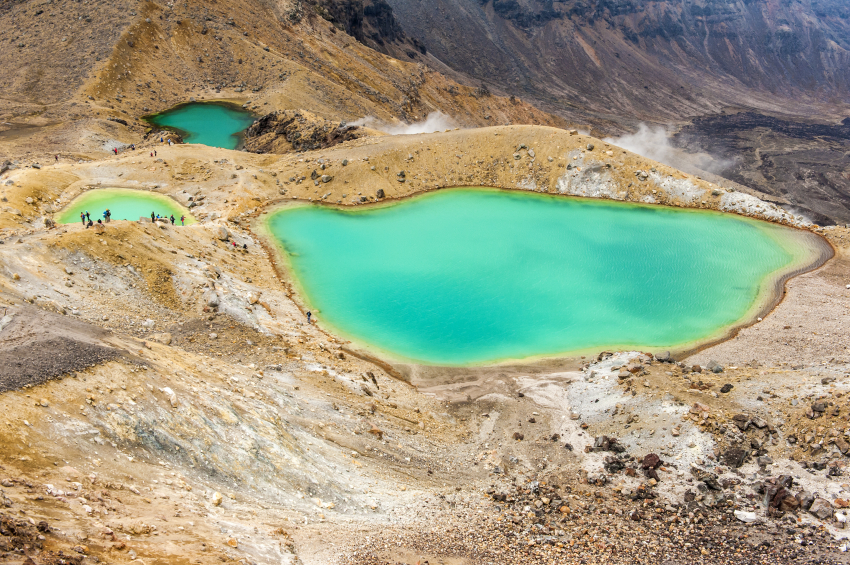 tongaririo 10 Best Things to Do on a Gap Year in New Zealand