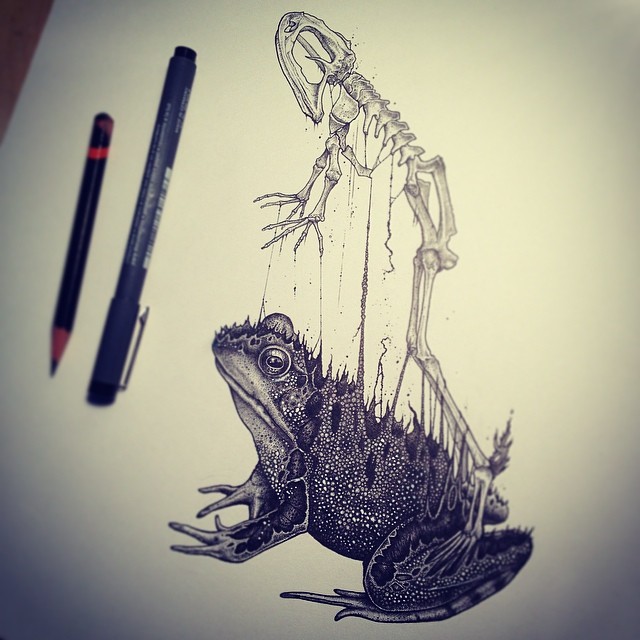 Paul-Jackson-Toronto-Animals-Drawings
