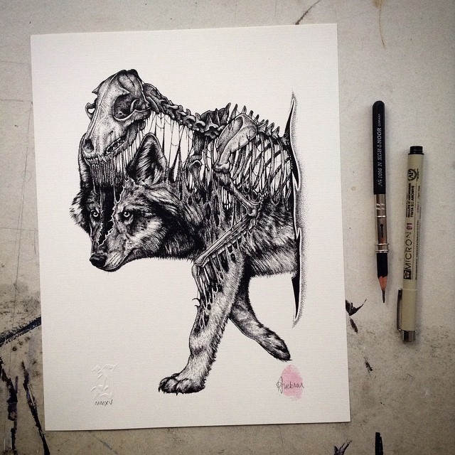 Paul-Jackson-Toronto-Animals-Drawings