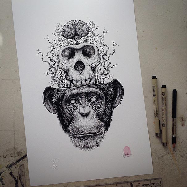 Paul-Jackson-Toronto-Animals-Drawings