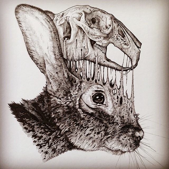 Paul-Jackson-Toronto-Animals-Drawings