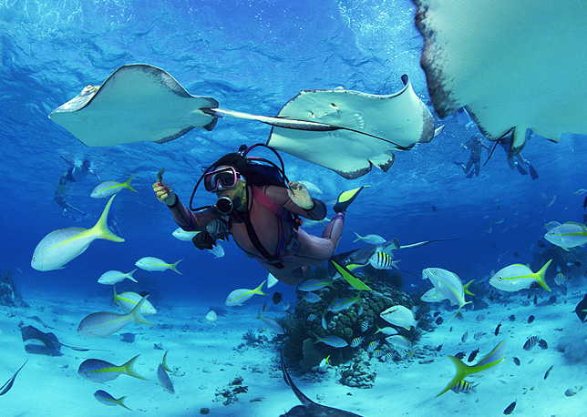 Ko Tao Travel Thailand Destination Guide