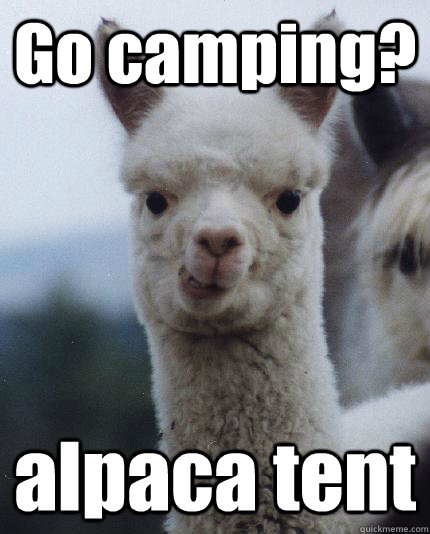 Camping Meme
