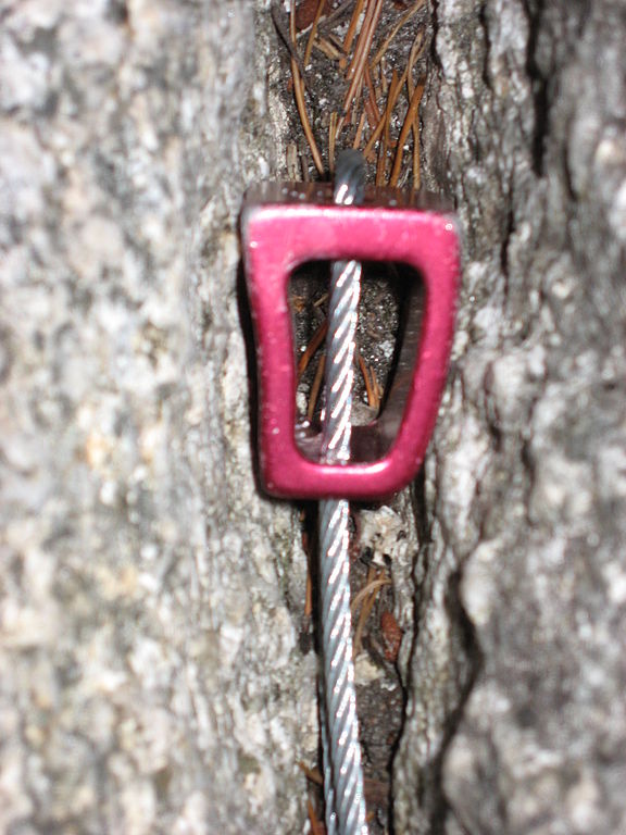 The differnece between abseil and rappel