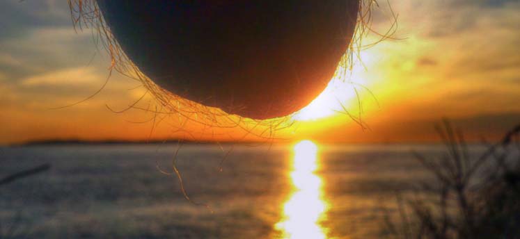 Photo: Nutscapes.com