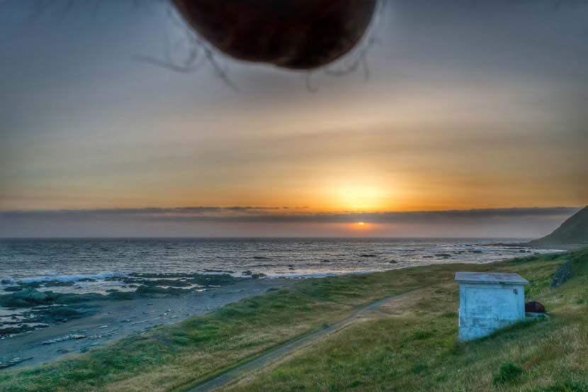 Photo: Nutscapes.com
