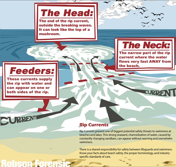 Rip Currents: A diagram of the anatomy of a rip current