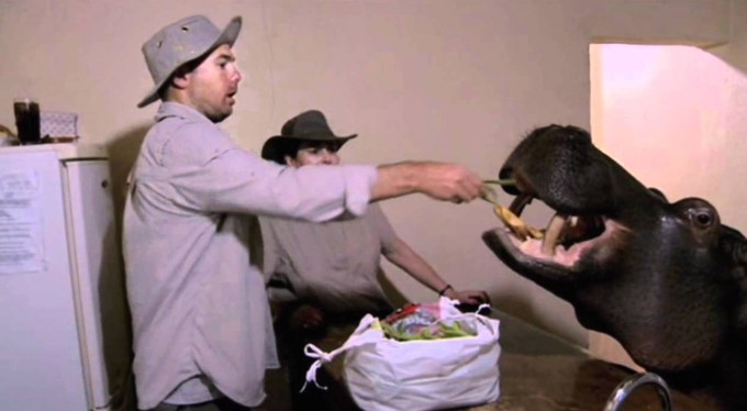 Karl Pilkington Hippo