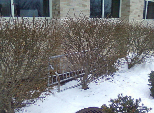 Shit Bike Rack