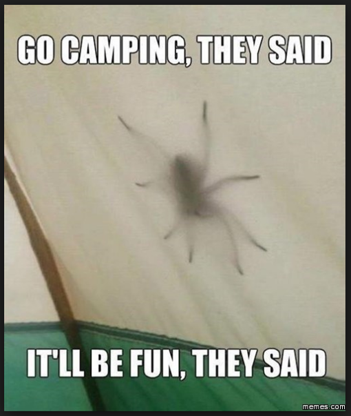 camping meme