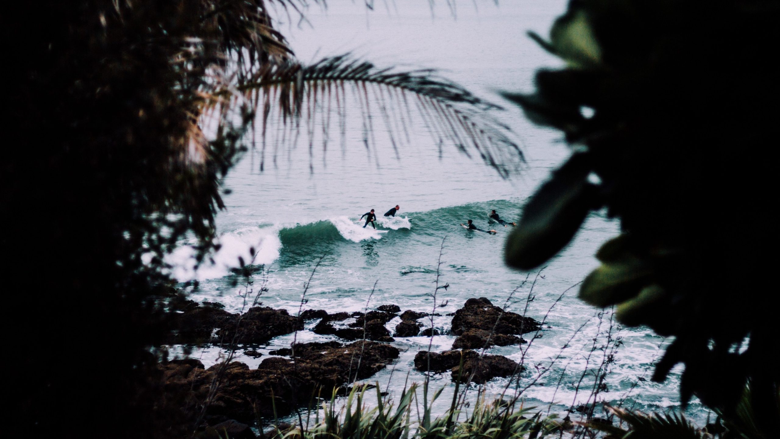 surfing puns 23