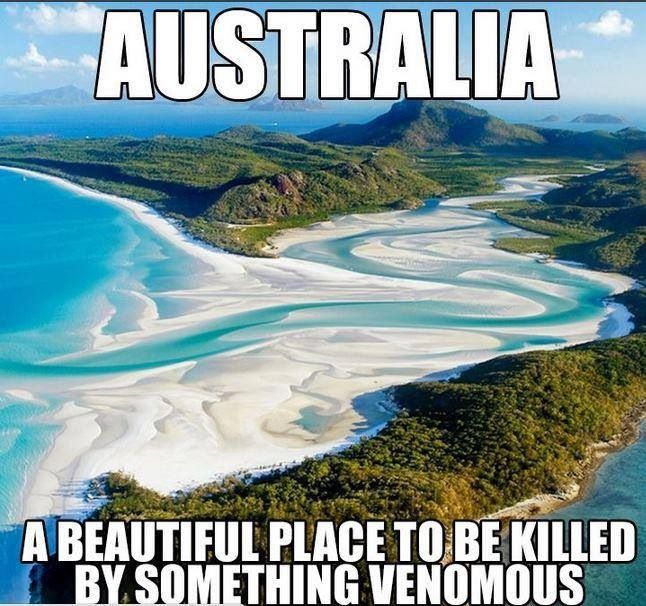 Travel Memes