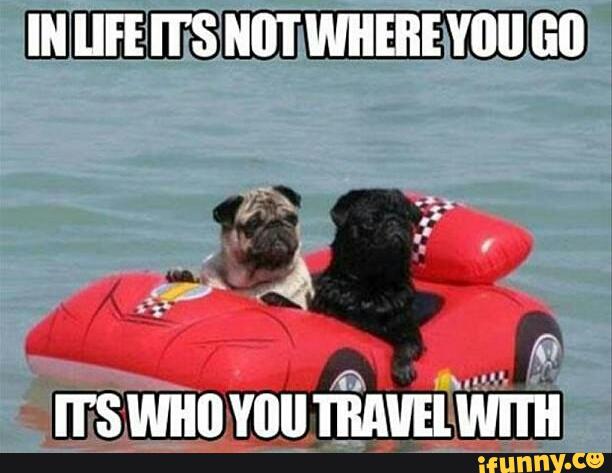Travel Meme