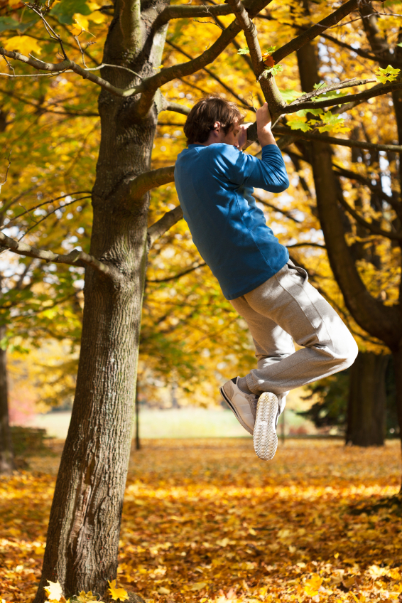Man hanging on a tree branch doing a pull up / chin up