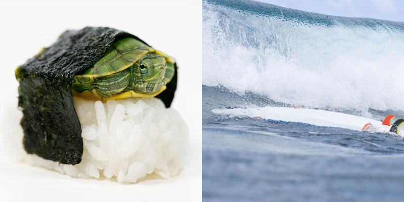 Turtle Roll