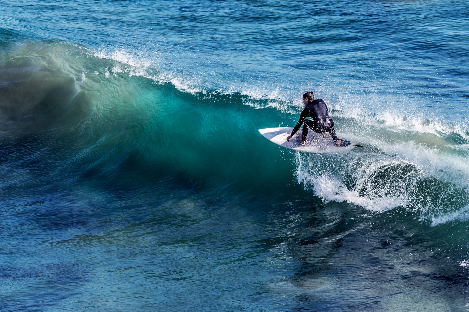 surfing puns 24
