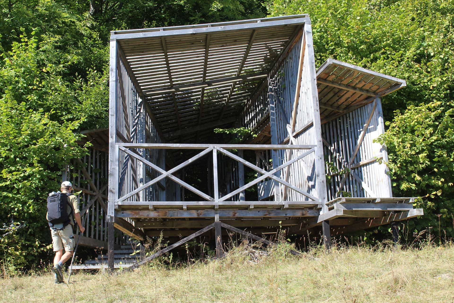 Wildlife-Observatory-Southern-Carpathians